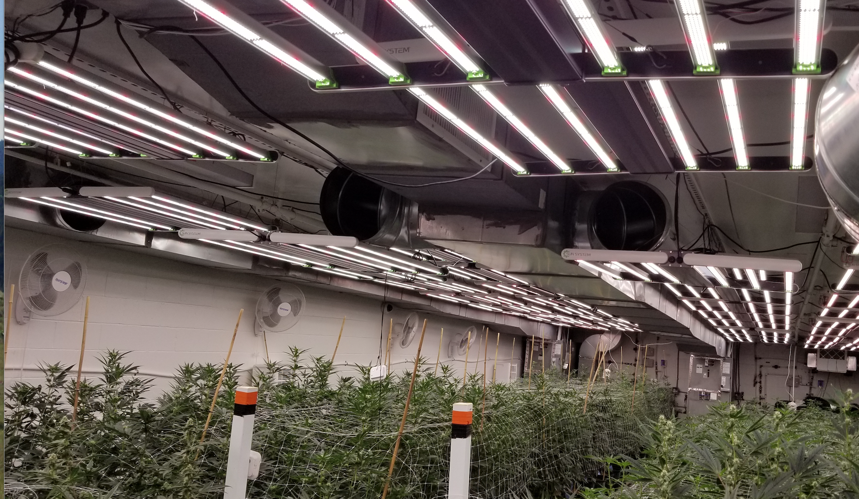 New Sun System LEDs get grow lamp rebates in Las Vegas